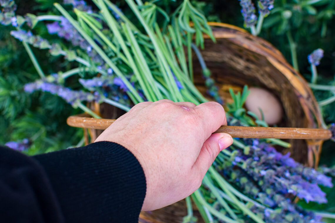 10 Ways to Live the Simple Farmhouse Life - A Quaint Life