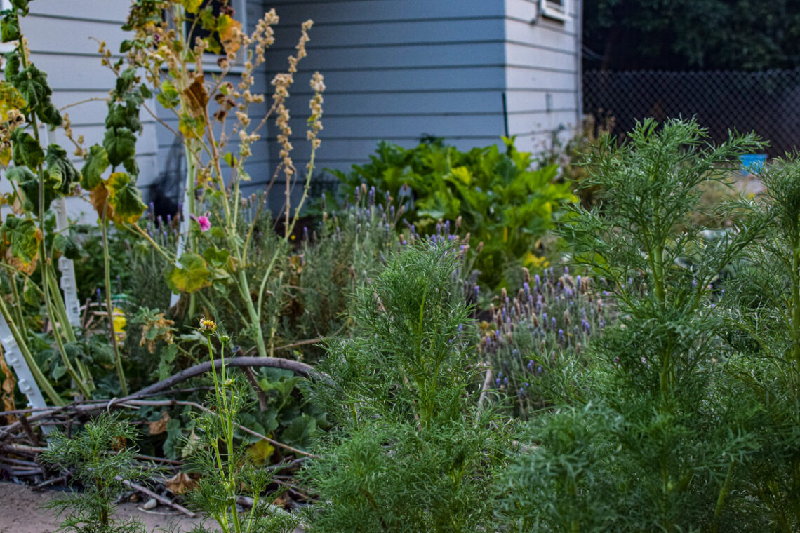 10 Ways to Live the Simple Farmhouse Life - A Quaint Life