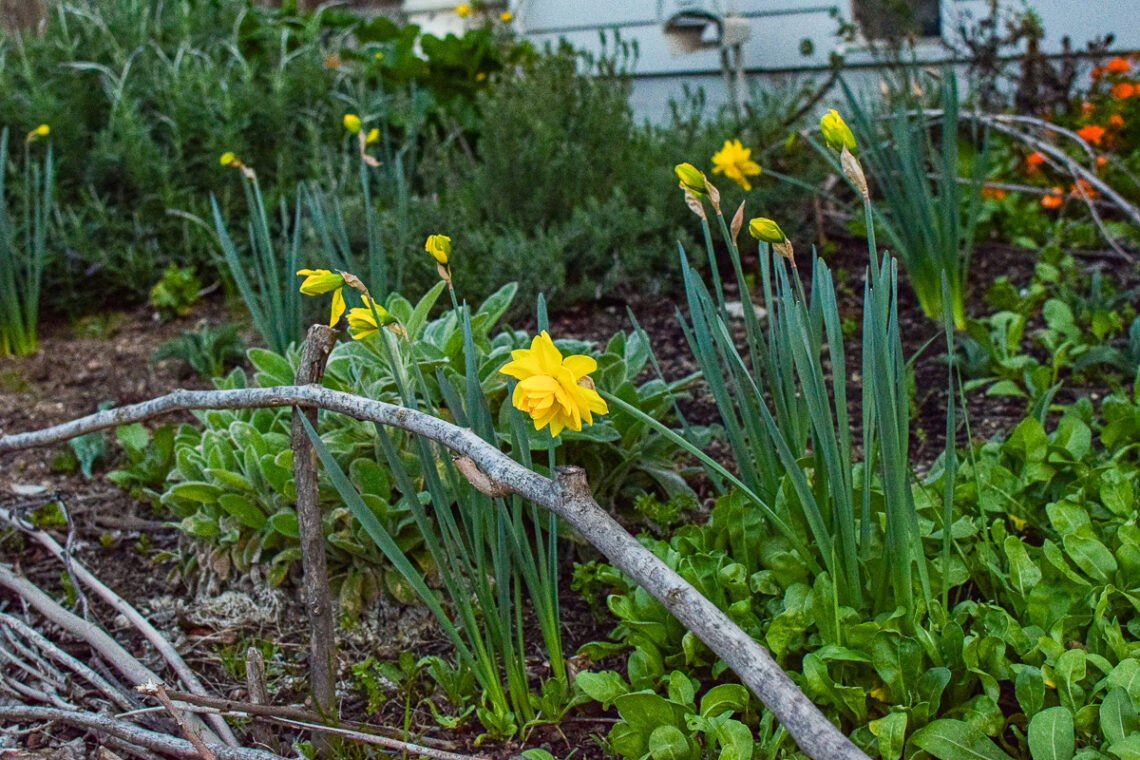 10 Ways to Live the Simple Farmhouse Life - A Quaint Life