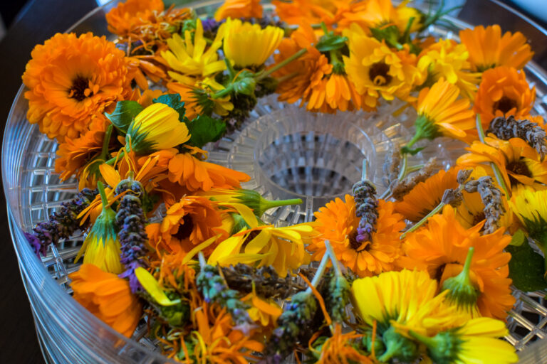 Homemade Dried Flower and Herb Potpourri A Quaint Life