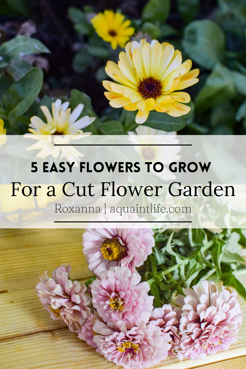 5 Easy Flowers To Grow For a Cut Flower Garden - A Quaint Life