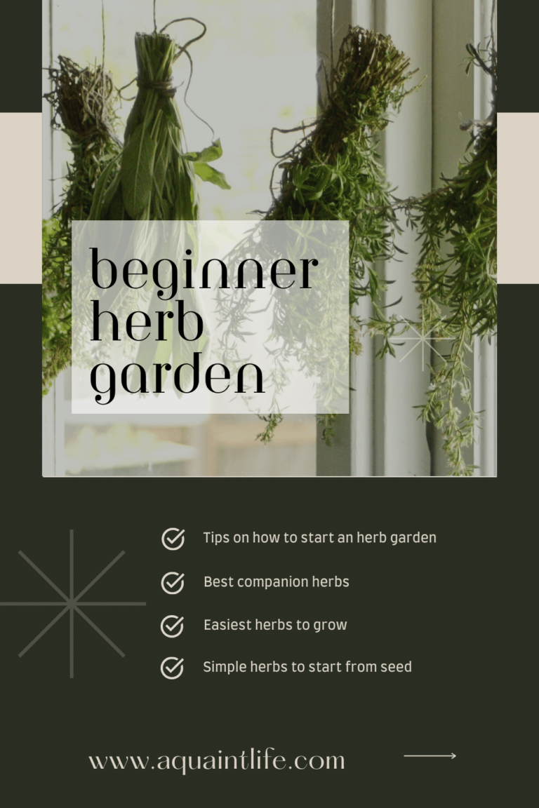 How to Start a Beginner Herb Garden | Tips for Success - A Quaint Life