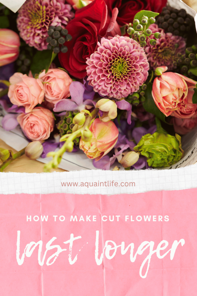 How to Make Cut Flowers Last Longer (Tips and Tricks) A Quaint Life