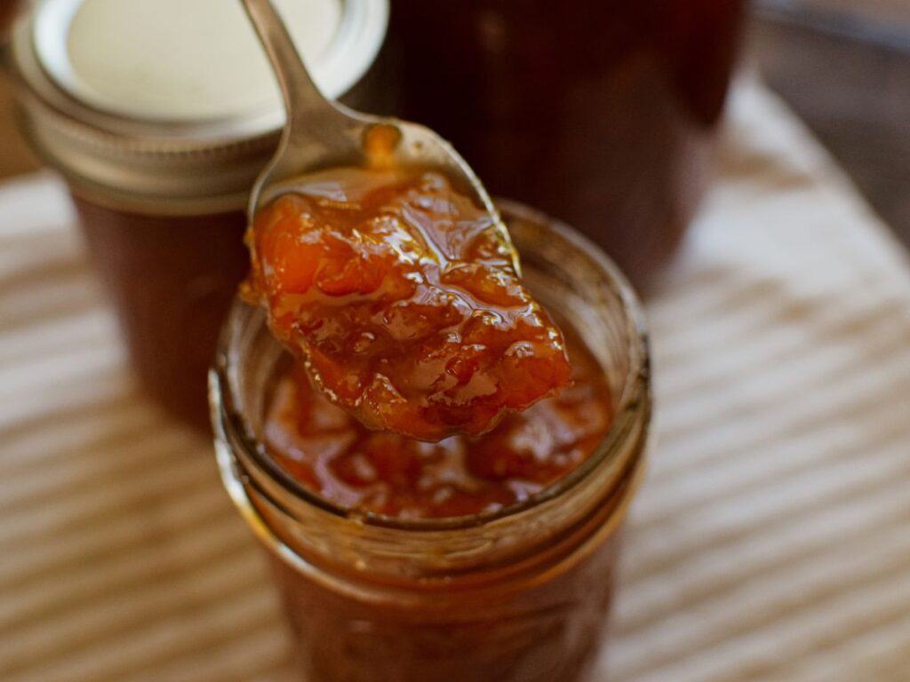 3 Ingredient Nectarine Jam (No Pectin Needed) A Quaint Life