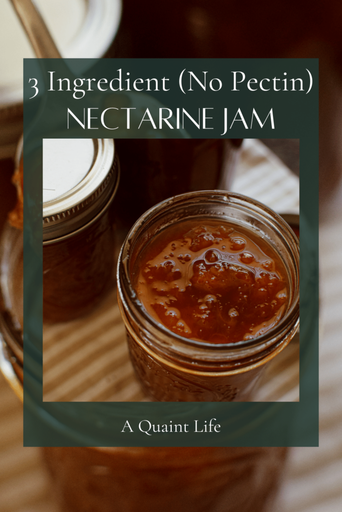 3 Ingredient Nectarine Jam (No Pectin Needed) A Quaint Life
