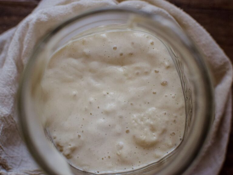 sourdough starter in a jar