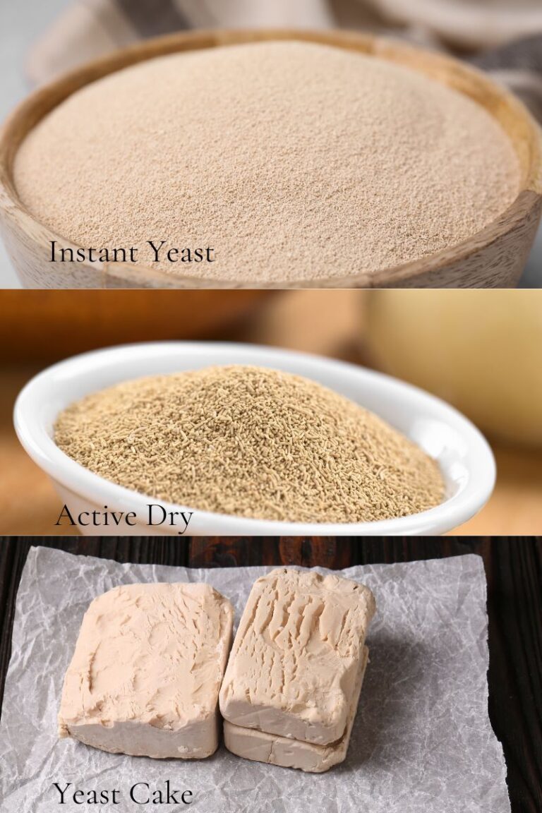 Yeast Vs. Sourdough Starter (Understanding the Difference) A Quaint Life