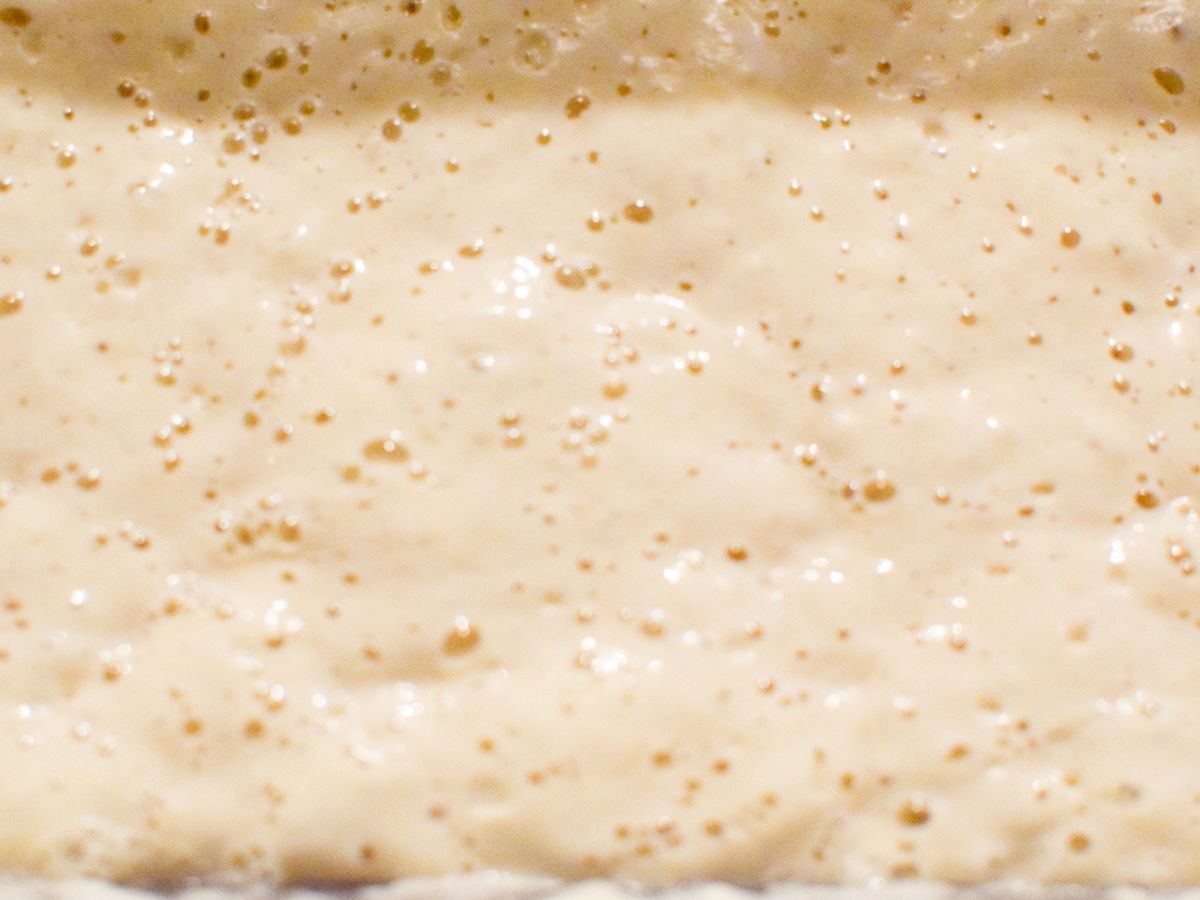 No-Discard Sourdough Starter Maintenance ~Sweet & Savory