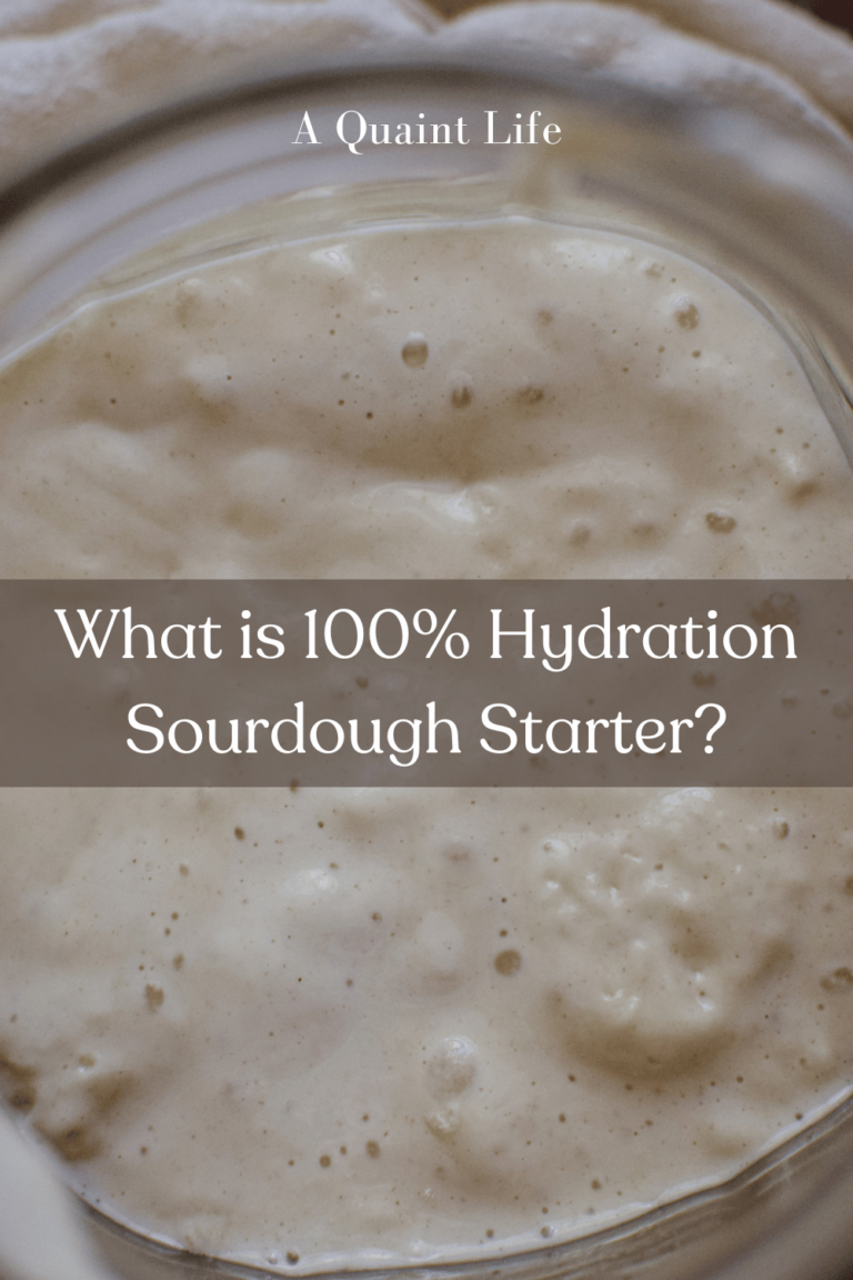What is 100 Hydration Sourdough Starter? (Full Guide) A Quaint Life